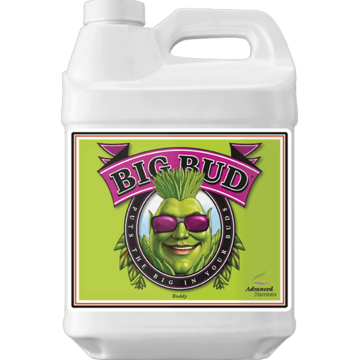 Advanced Nutrients Big Bud-500mL - HydroWorlds