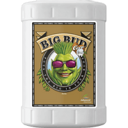 Advanced Nutrients Big Bud Coco-23L - HydroWorlds